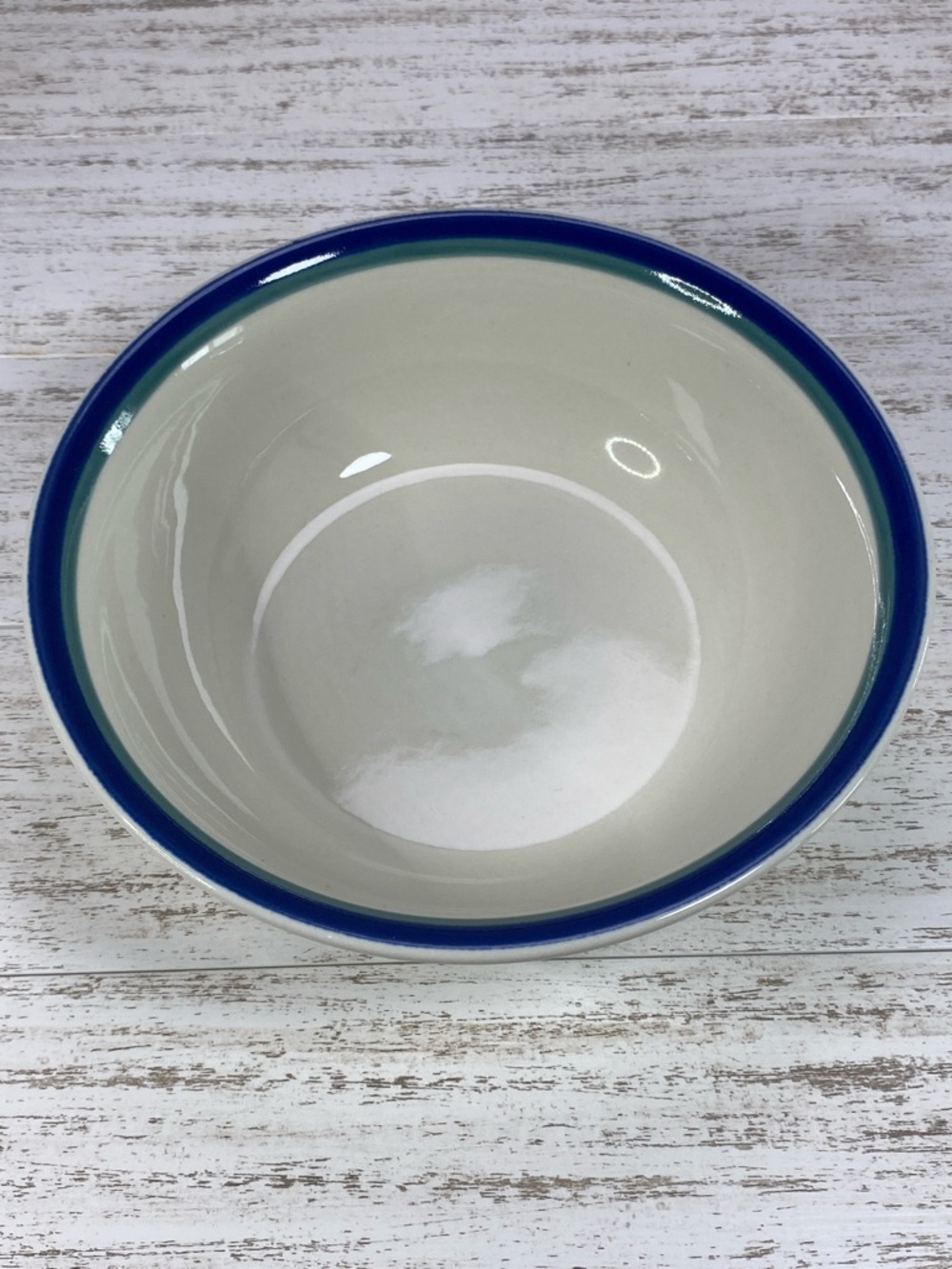 Vintage Pfaltzgraff Northwinds Round Vegetable Serving Bowl 8.5" Blue Green Rim